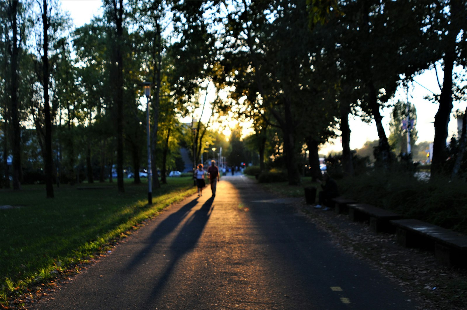 Promeneurs dans un parc européen, vue à distance et anonyme